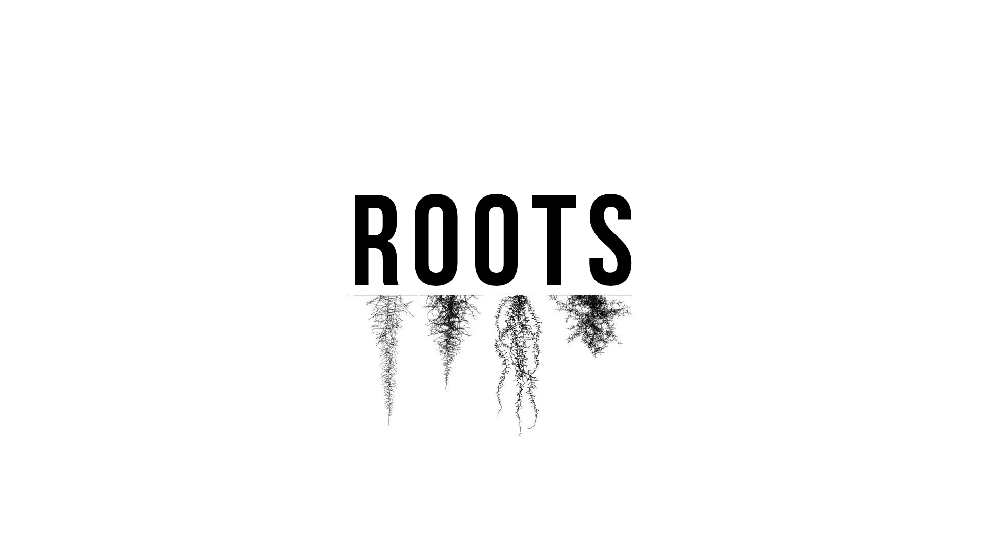 ROOTS, WEEK 3, THE LAST 5 YEARS