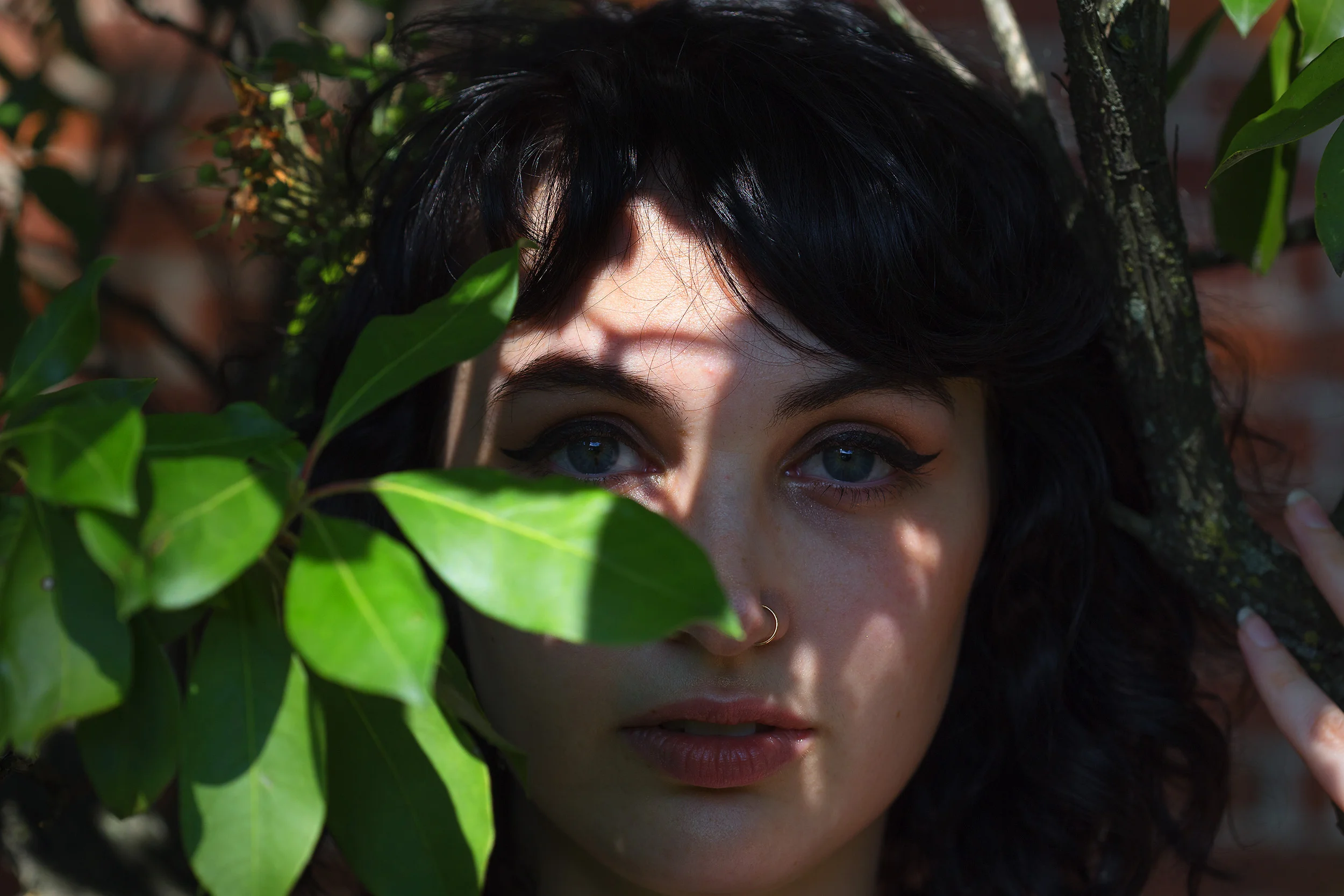 abby in the bushes 1.jpg