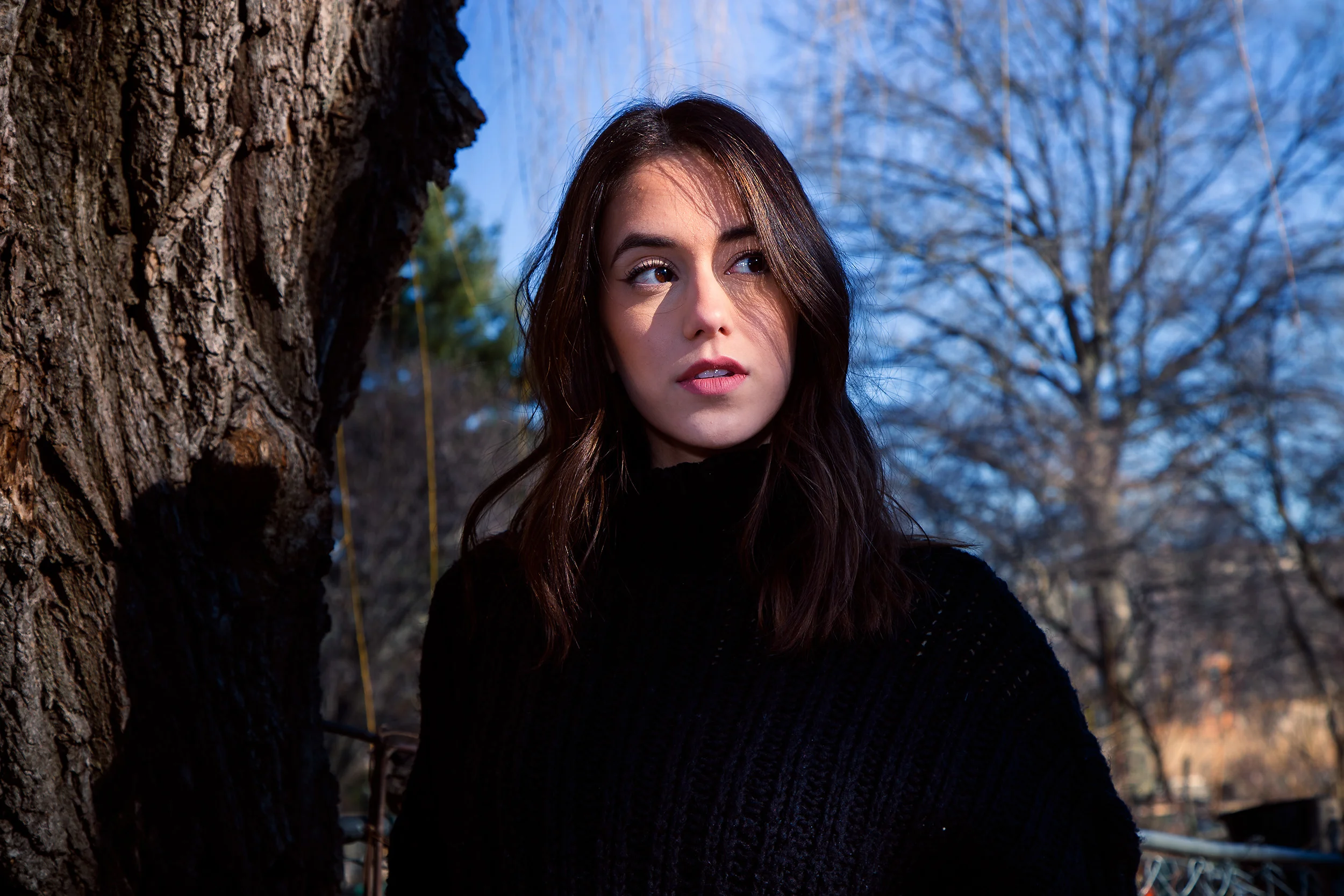 camilla fens tree.jpg