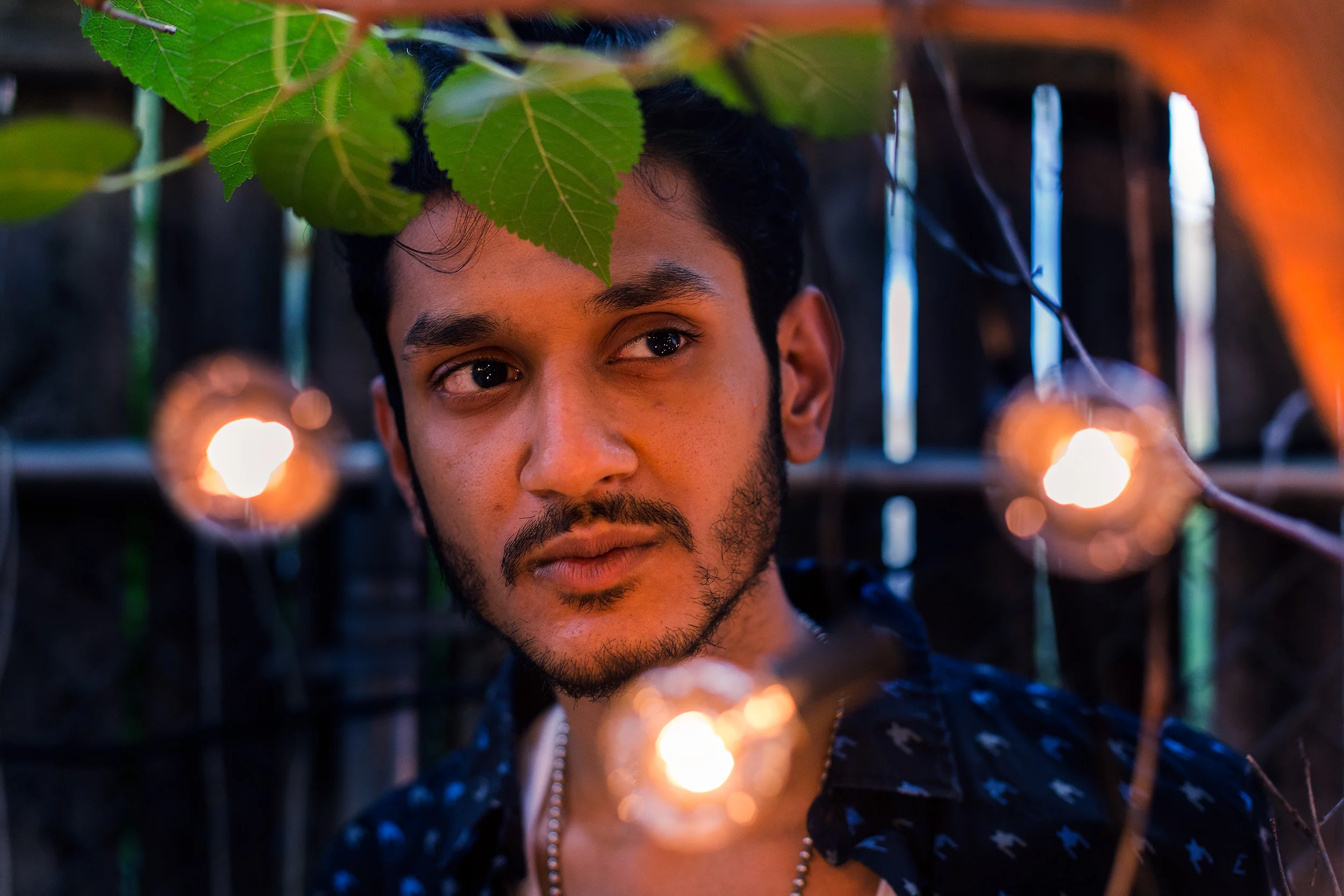 shwe lights.jpg