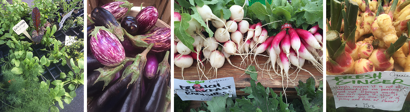 Our sunday trips to the farmers' market at Dupont Circle are always a visual delight.
