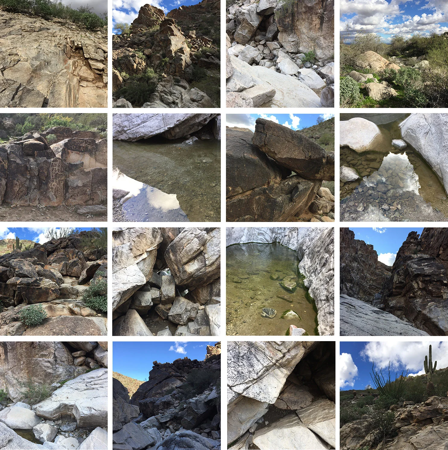White Tank Mountain Regional Park is a fabulous place to hike. These are all images I shot on the Waterfall trail.