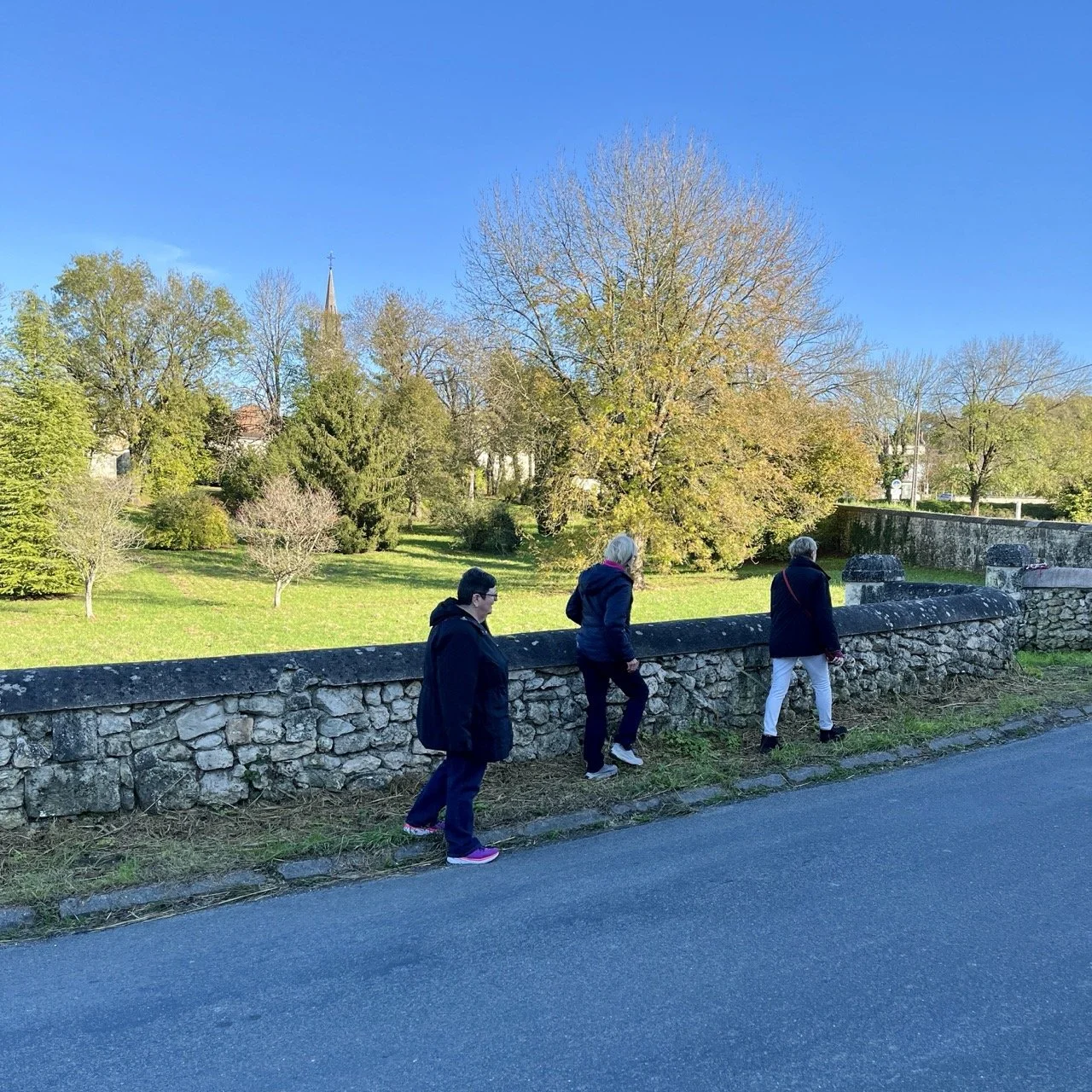 IMG_5371 3 Large.jpeg