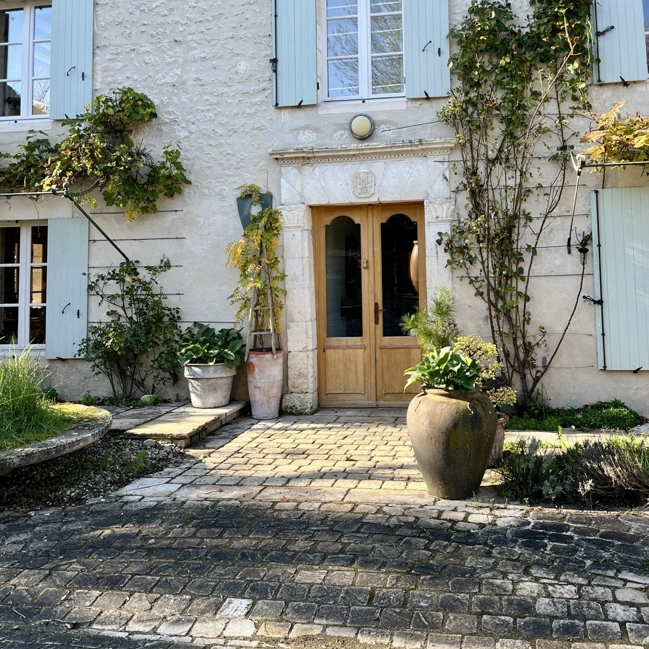 IMG_5355 2 Large.jpeg