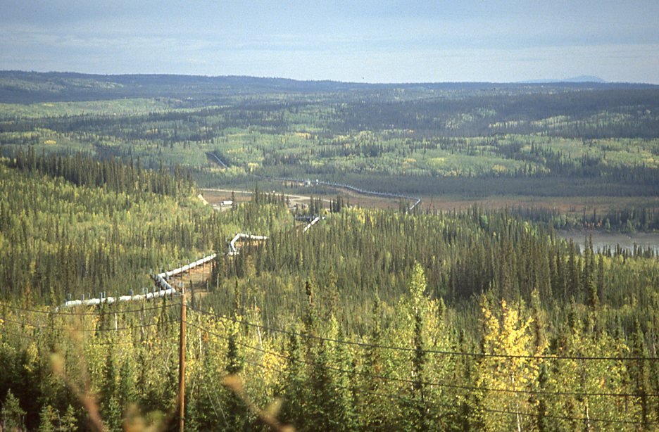 PIPE - Yukon River - ~1993 (3).jpg