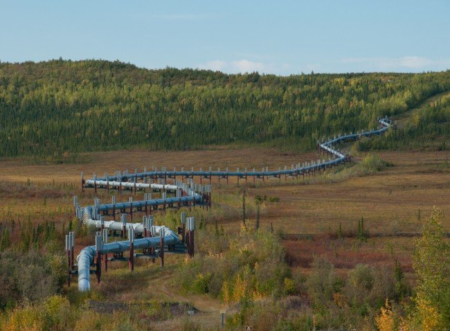 Northern Alaska Tour Company - Trans Alaska Pipeline (23).jpg