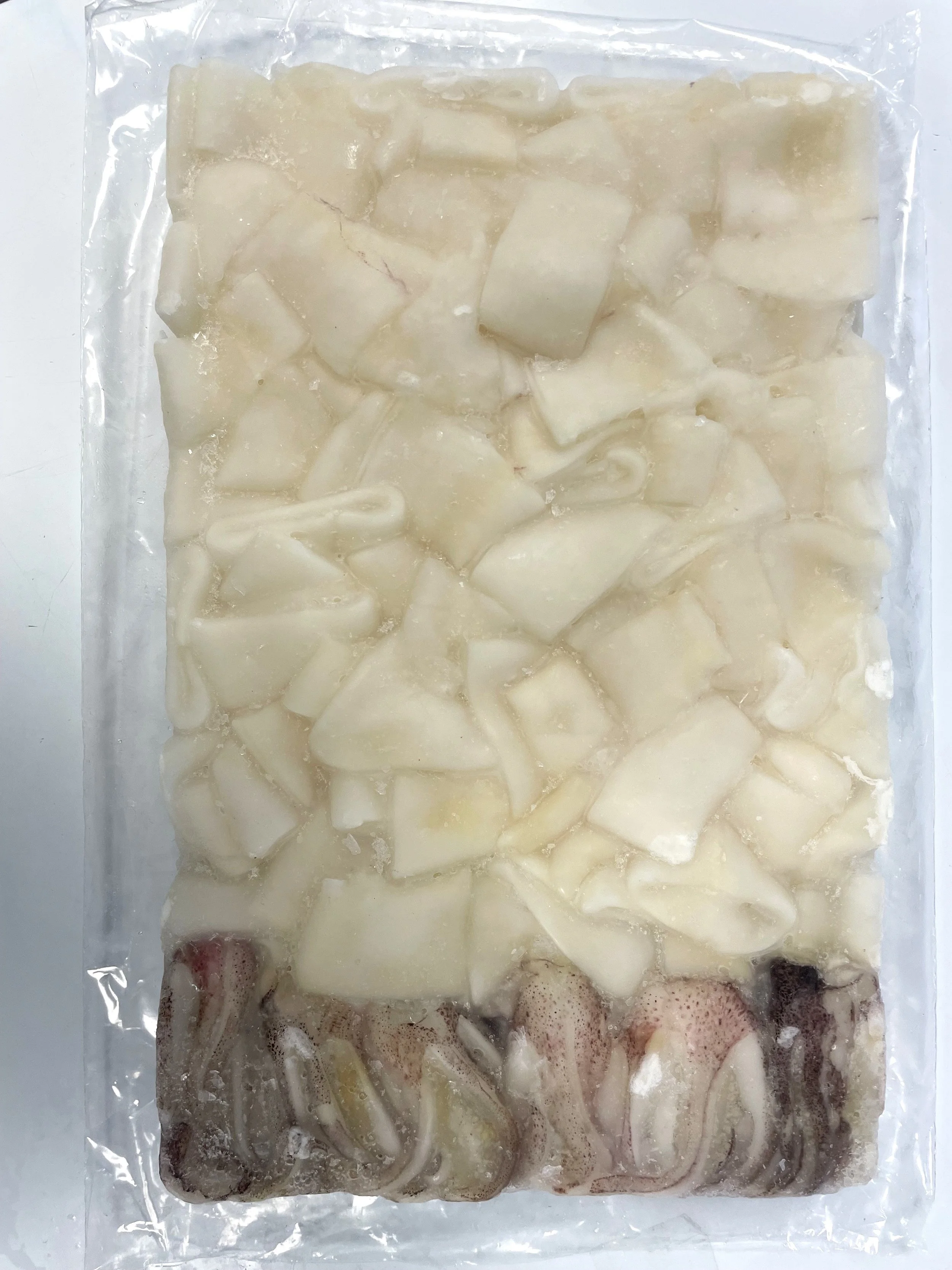 Squid