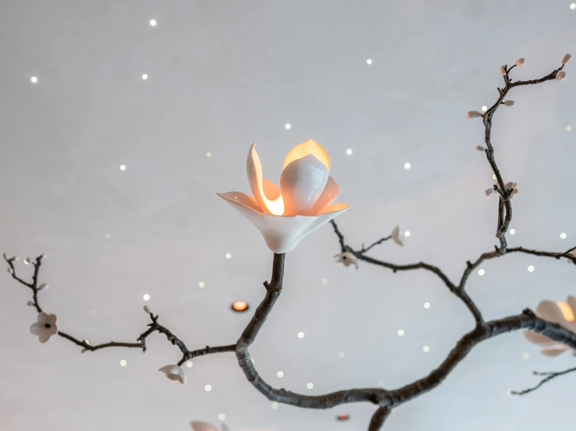 Woodland Paradise - Image 3.webp