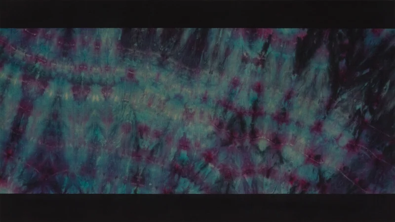 The Return Of Saturn Textile dyes, acrylic and spray paint on linen 36 x 64 inches