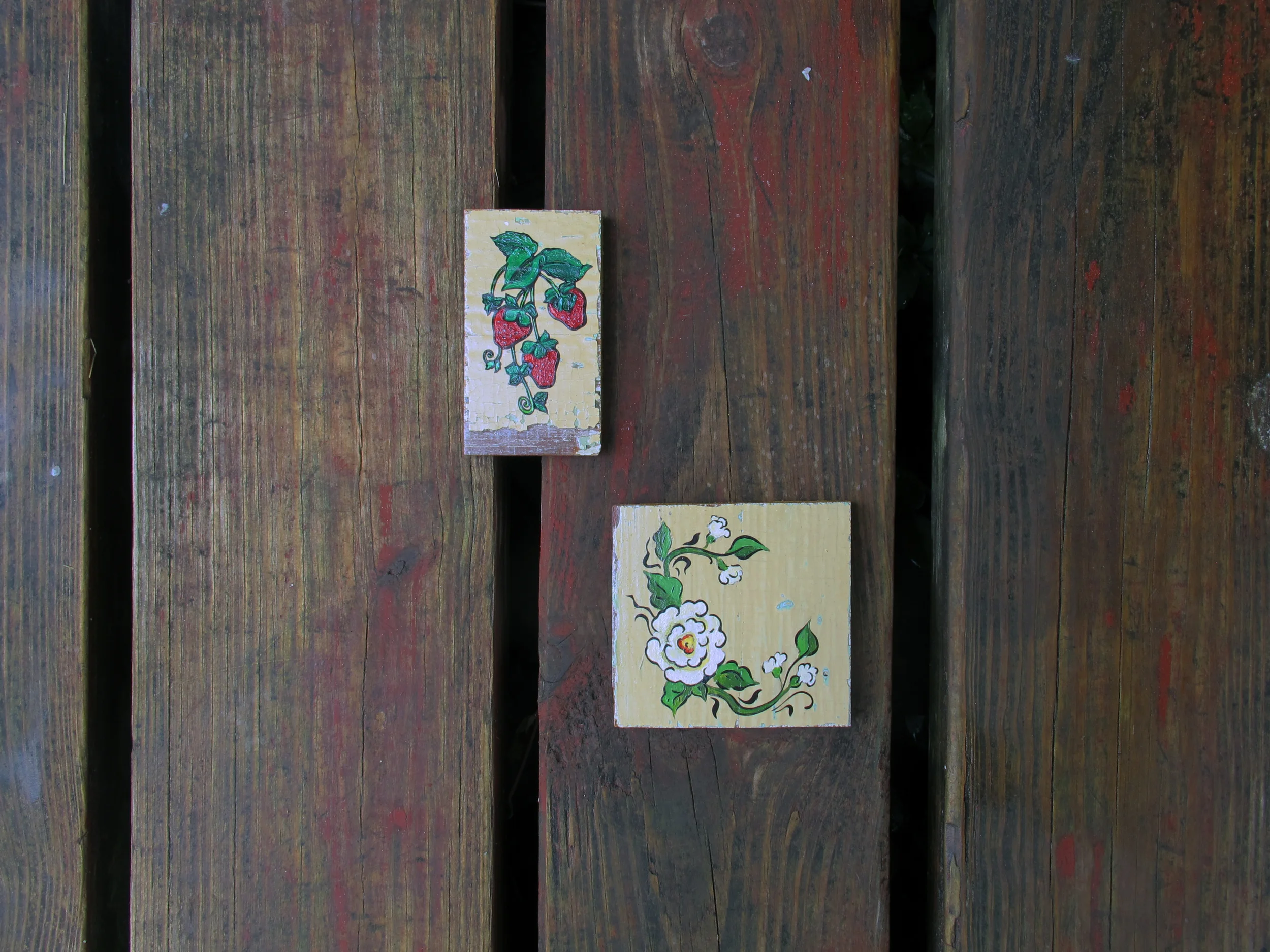 Berries & Peony