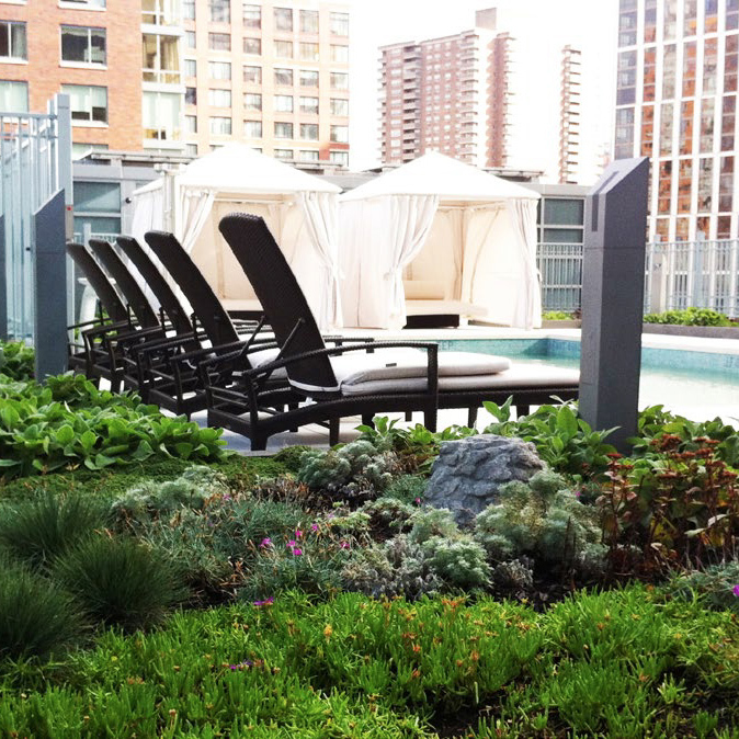 Battery Park City Liberty Luxe & Liberty Green: NYC