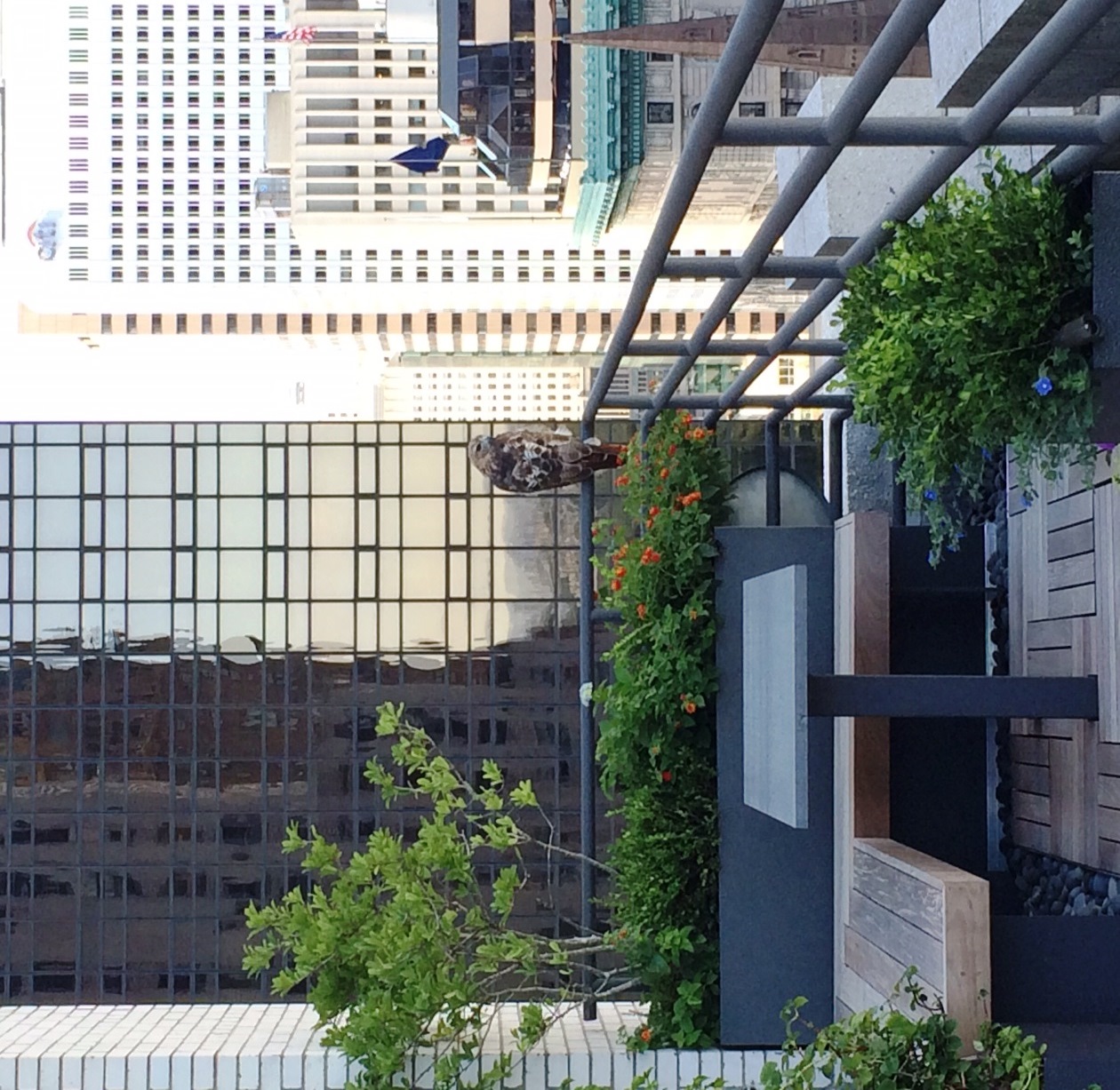 Rooftop Garden Design & Installation NYC