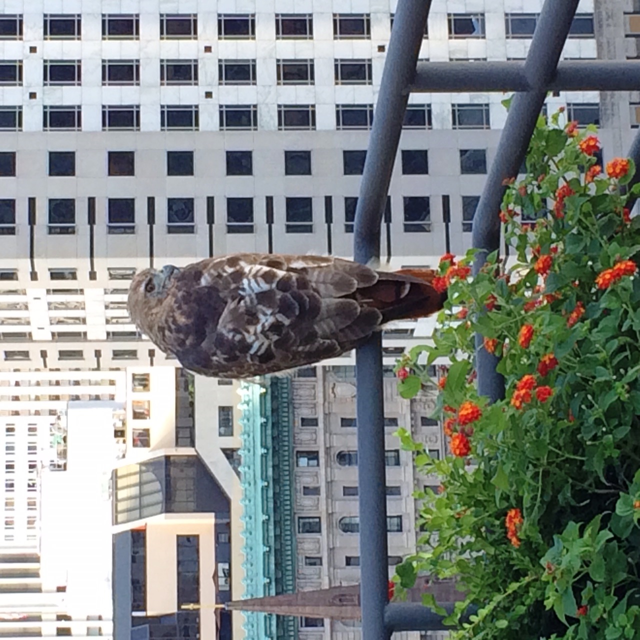Or maybe he is just giving me the eye...