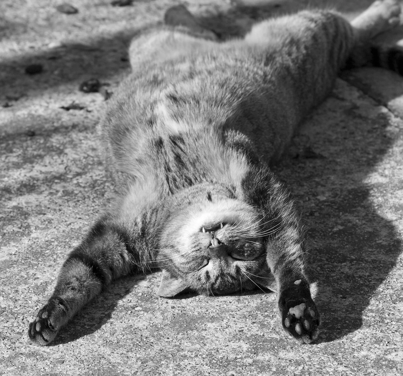 A Guilty Little Pleasure...