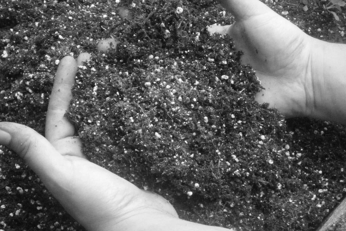 Catching Up With Yourself