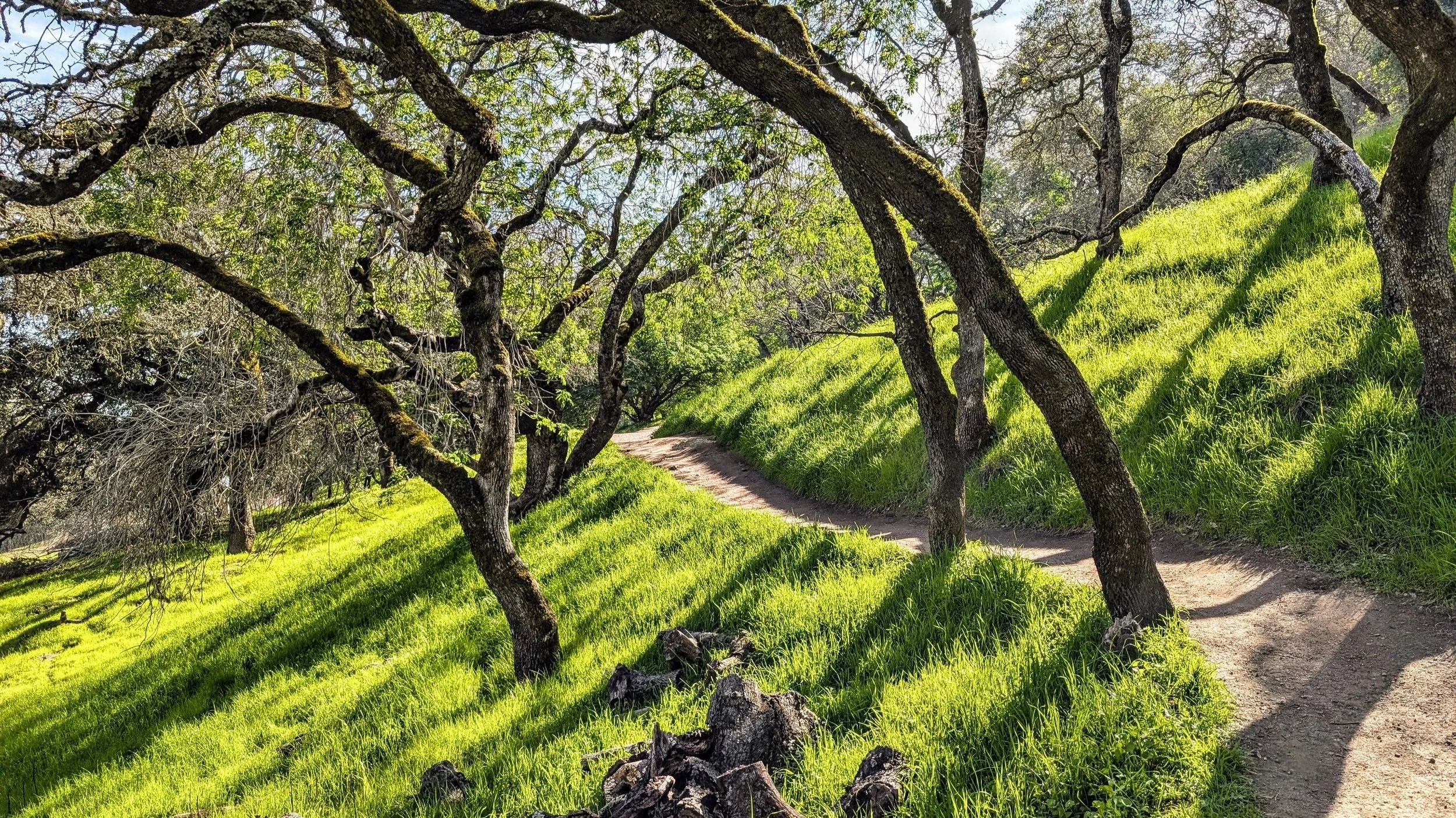 parkWalk.jpg