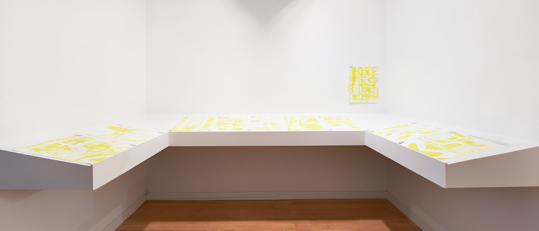 Installation View, Solutions V for Sigmar Polke, 2012