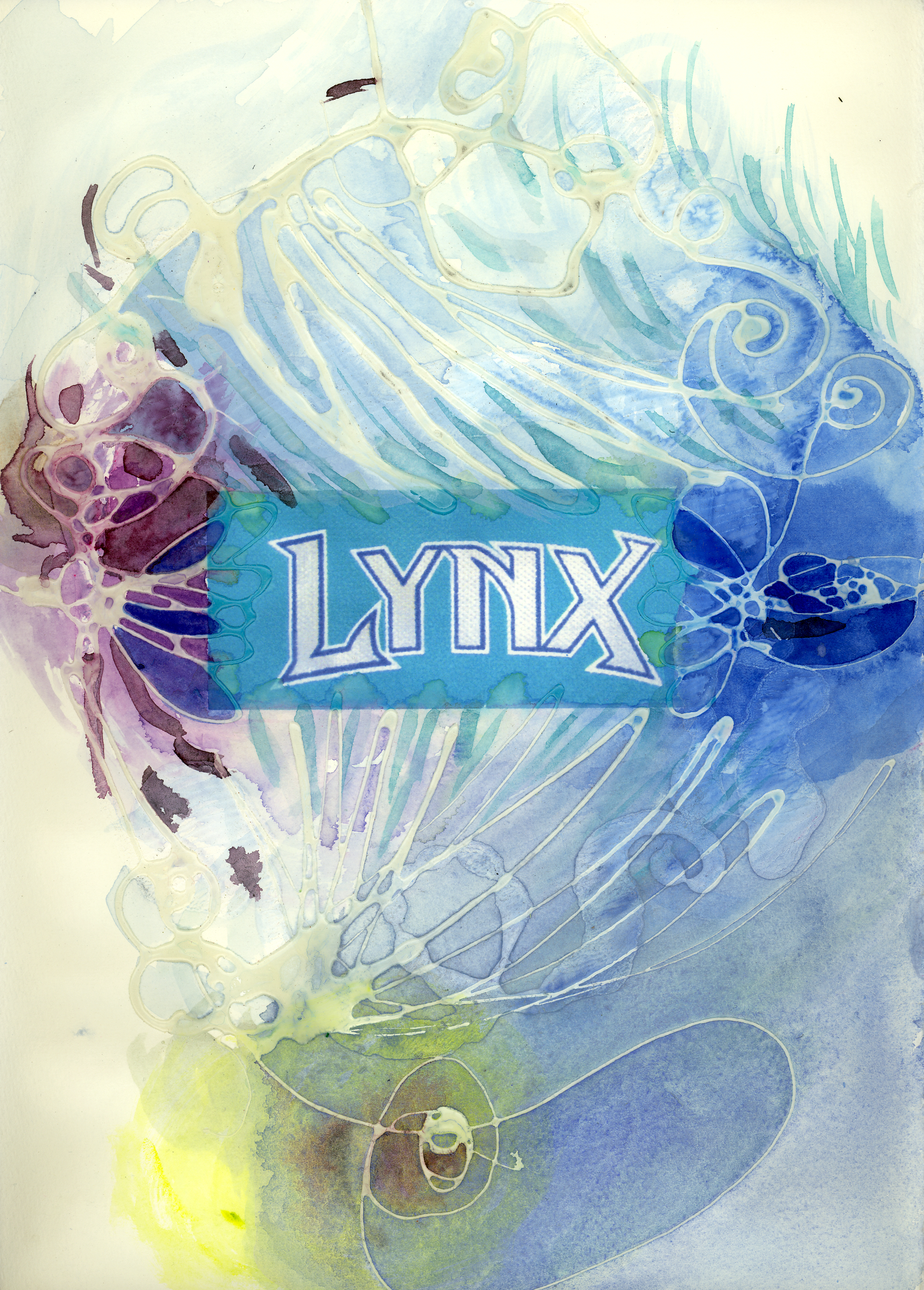 SM04 Team Play Her Lynx.jpg