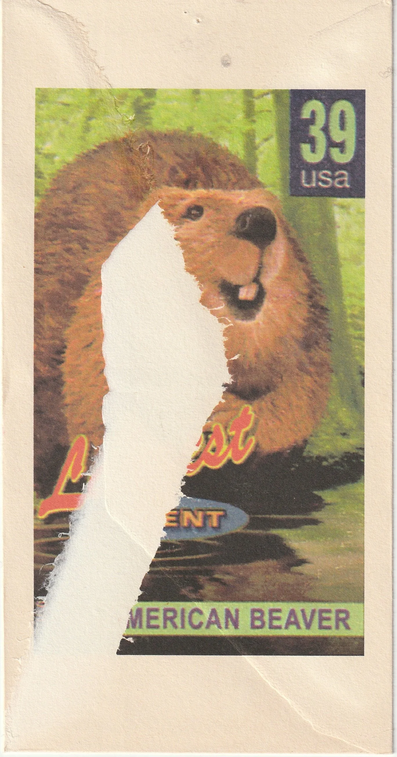 Immagine JPEG-07F071F913EA-3.jpeg