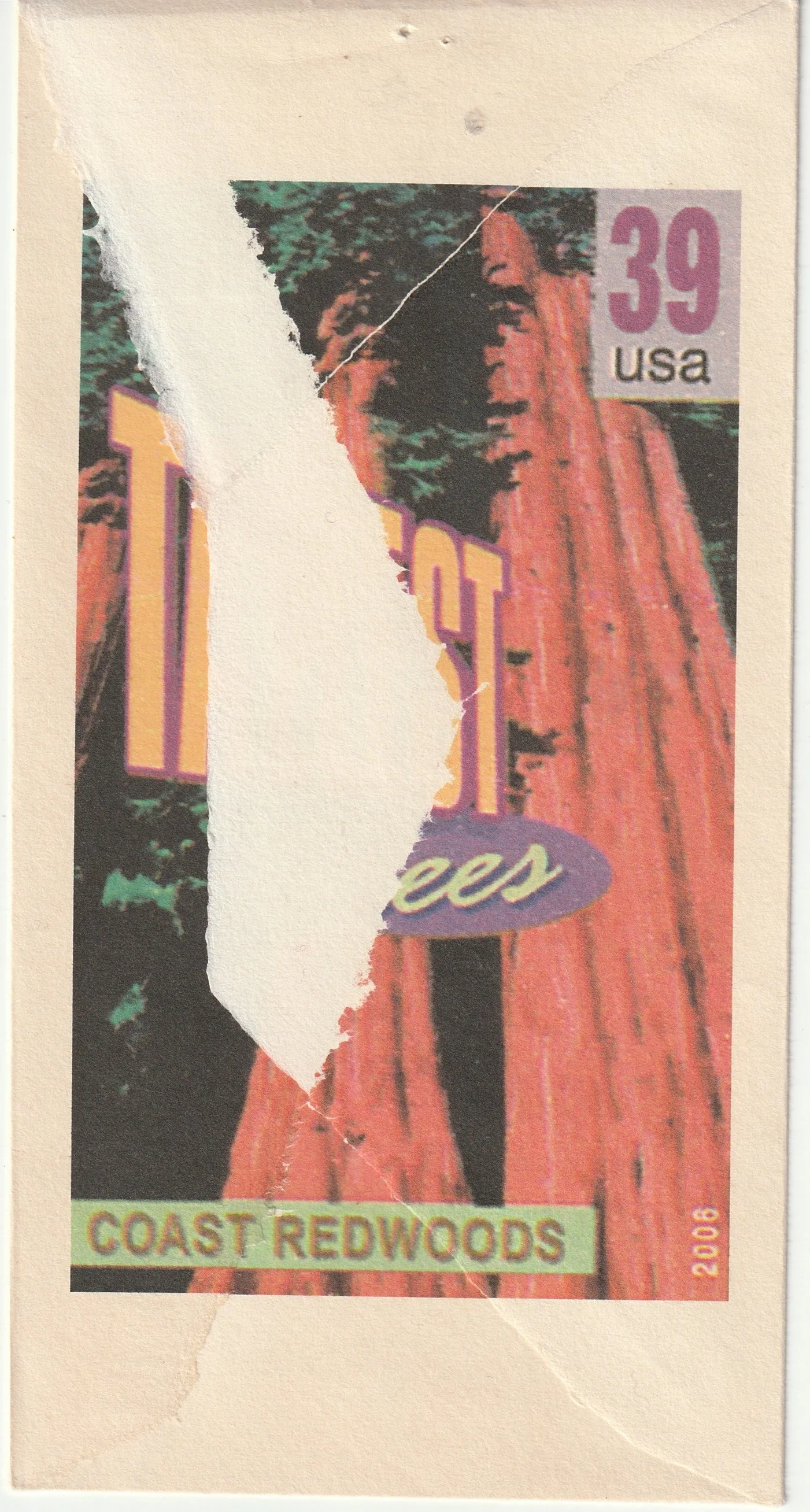 Immagine JPEG-07F071F913EA-4.jpeg