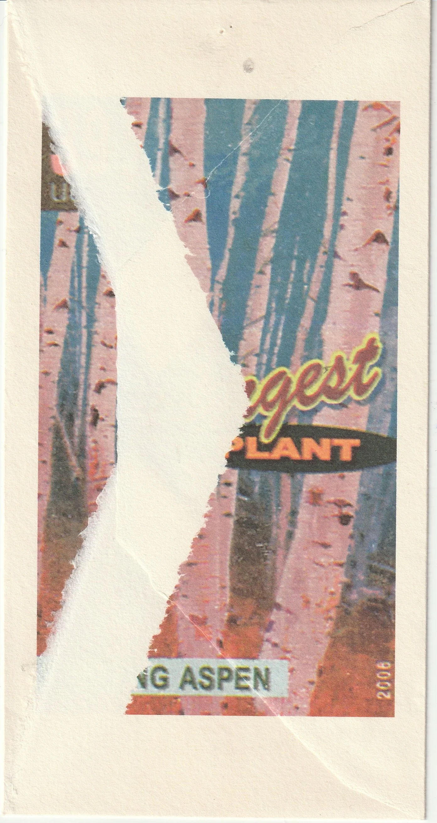 Immagine JPEG-07F071F913EA-5.jpeg