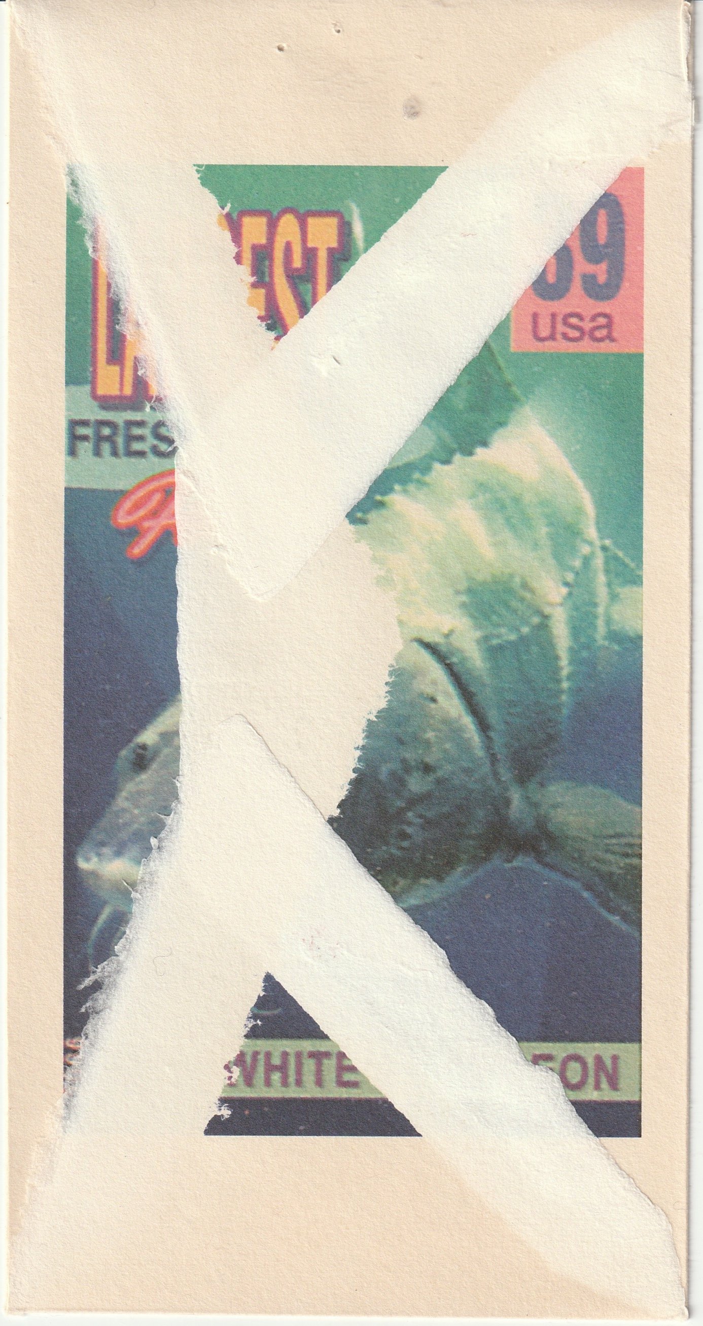 Immagine JPEG-07F071F913EA-7.jpeg