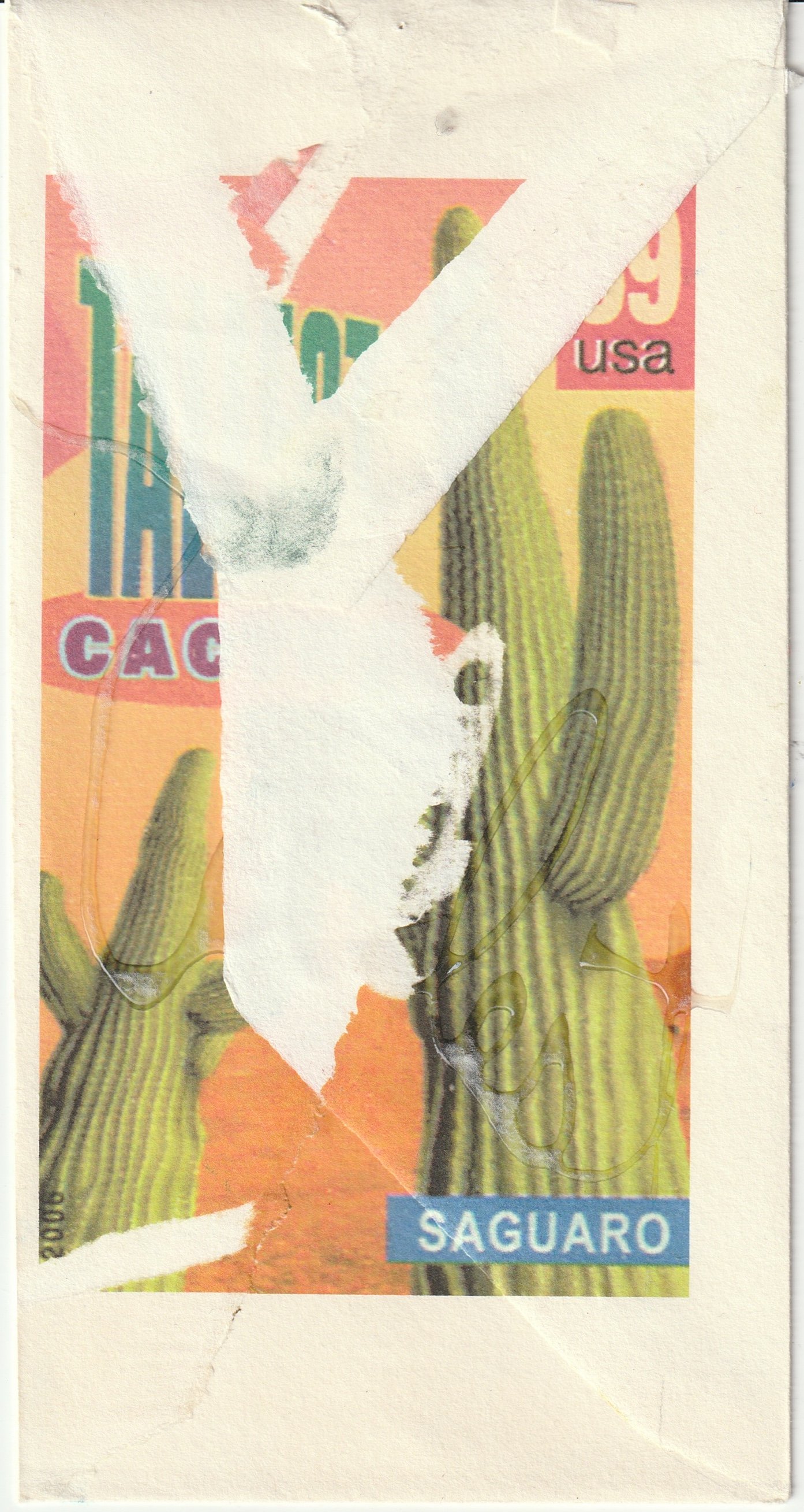 Immagine JPEG-07F071F913EA-11.jpeg