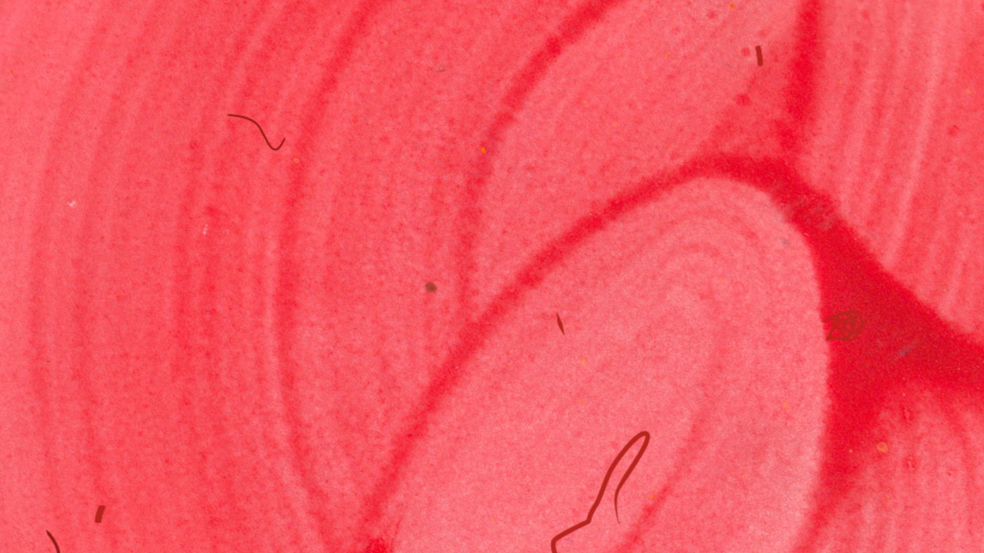 Varinia Still01.jpg