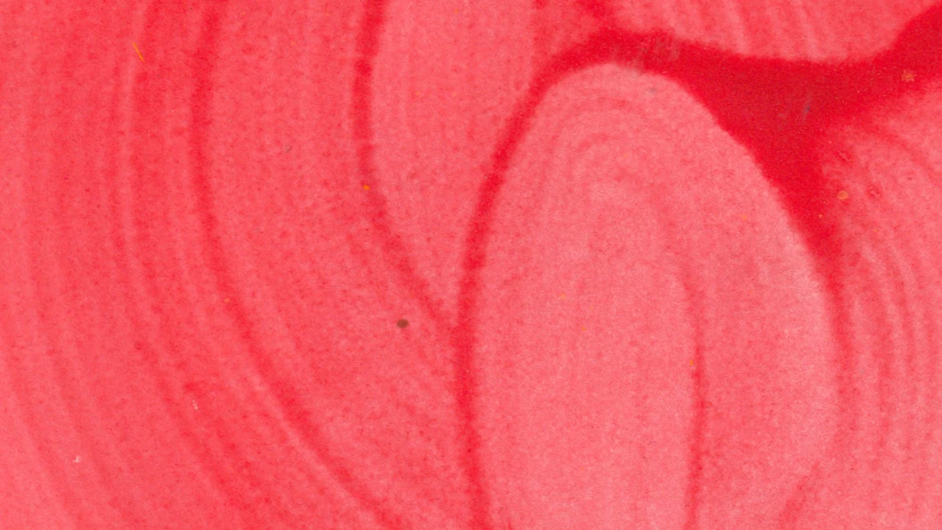 Varinia Still10.jpg