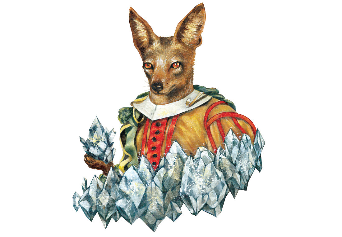 CARDS_fox1.jpg