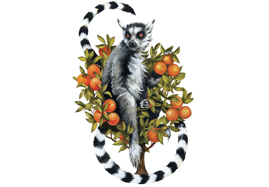 CARDS_lemur1.jpg