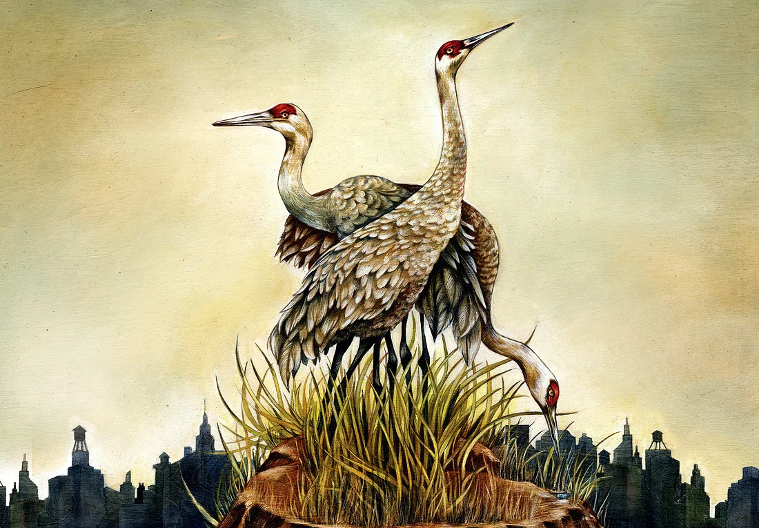 EarthIsland_cranes_1.jpg