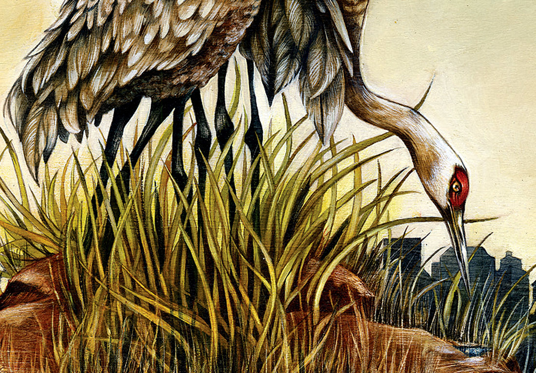 EarthIsland_cranes_3.jpg