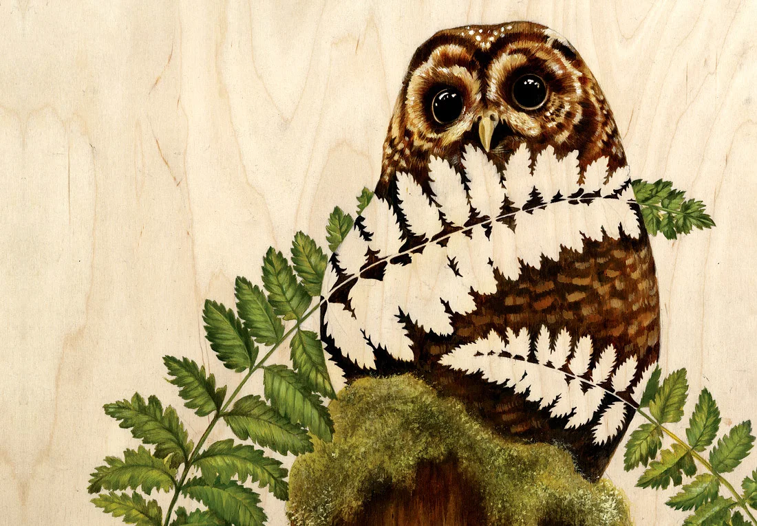 Owl_1.jpg