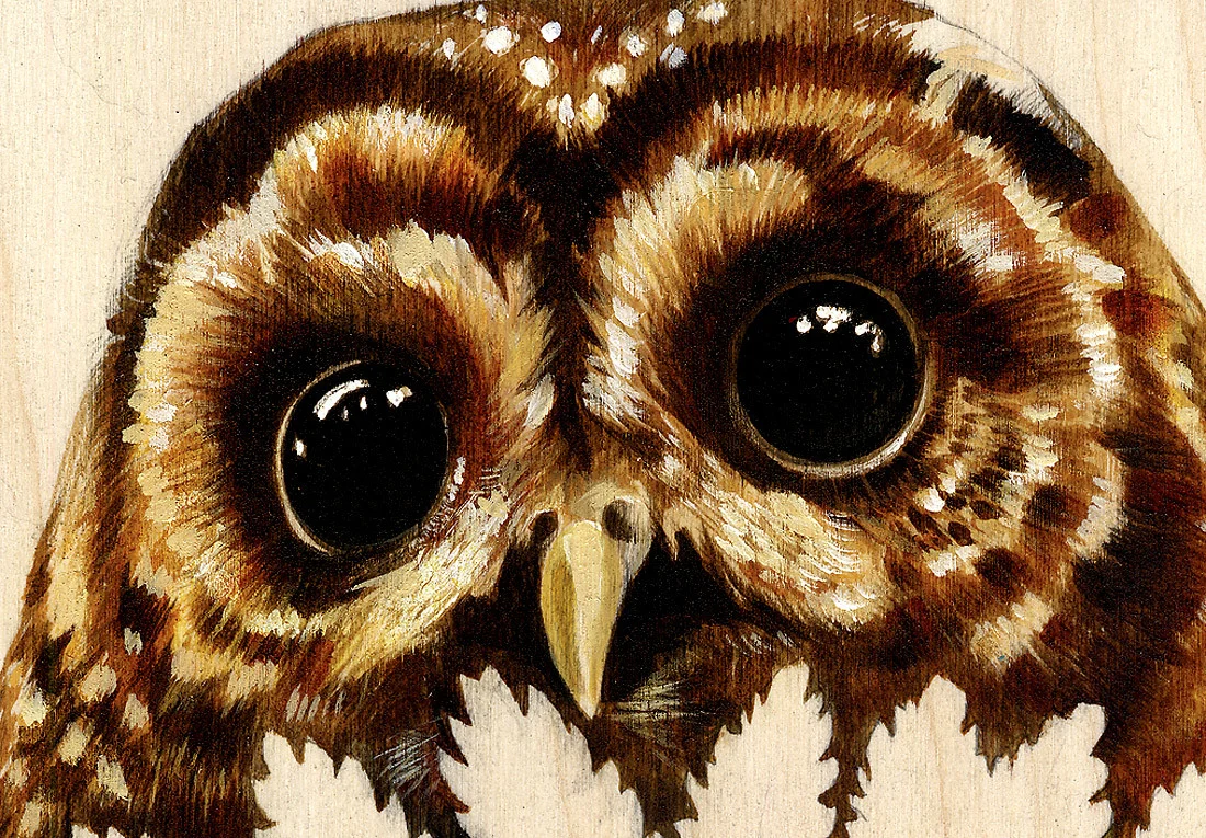 Owl_3.jpg