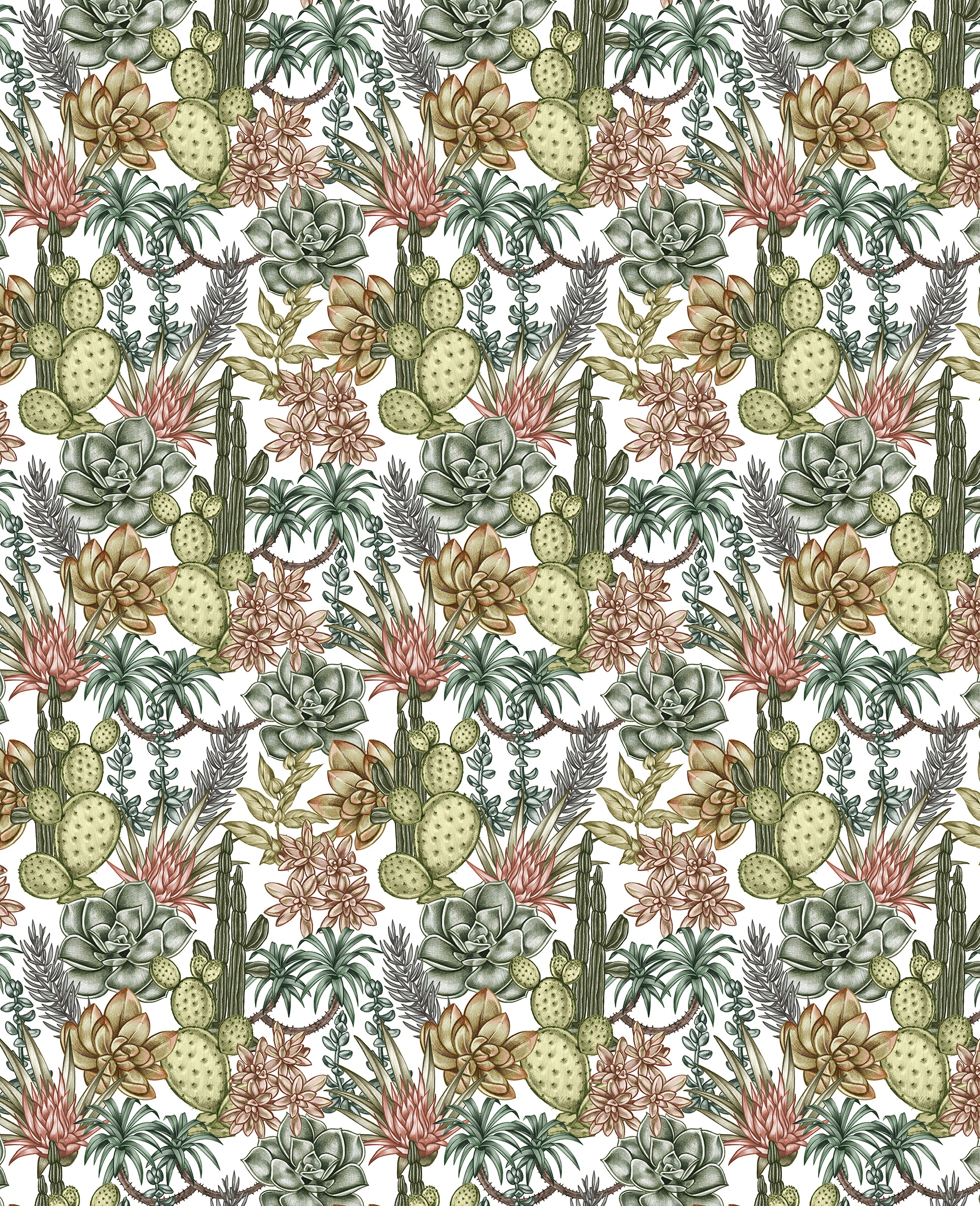 AOW_24x32_wallpaper_Succulents.jpg