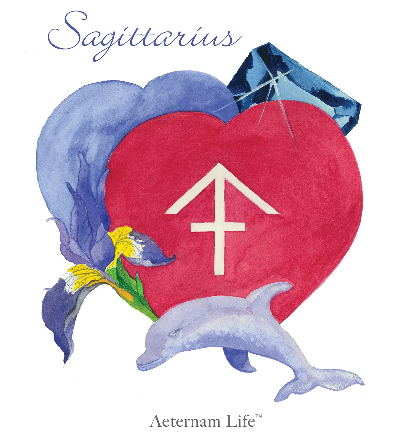 Sagittarius | T-shirt Buy it from Zazzle.com