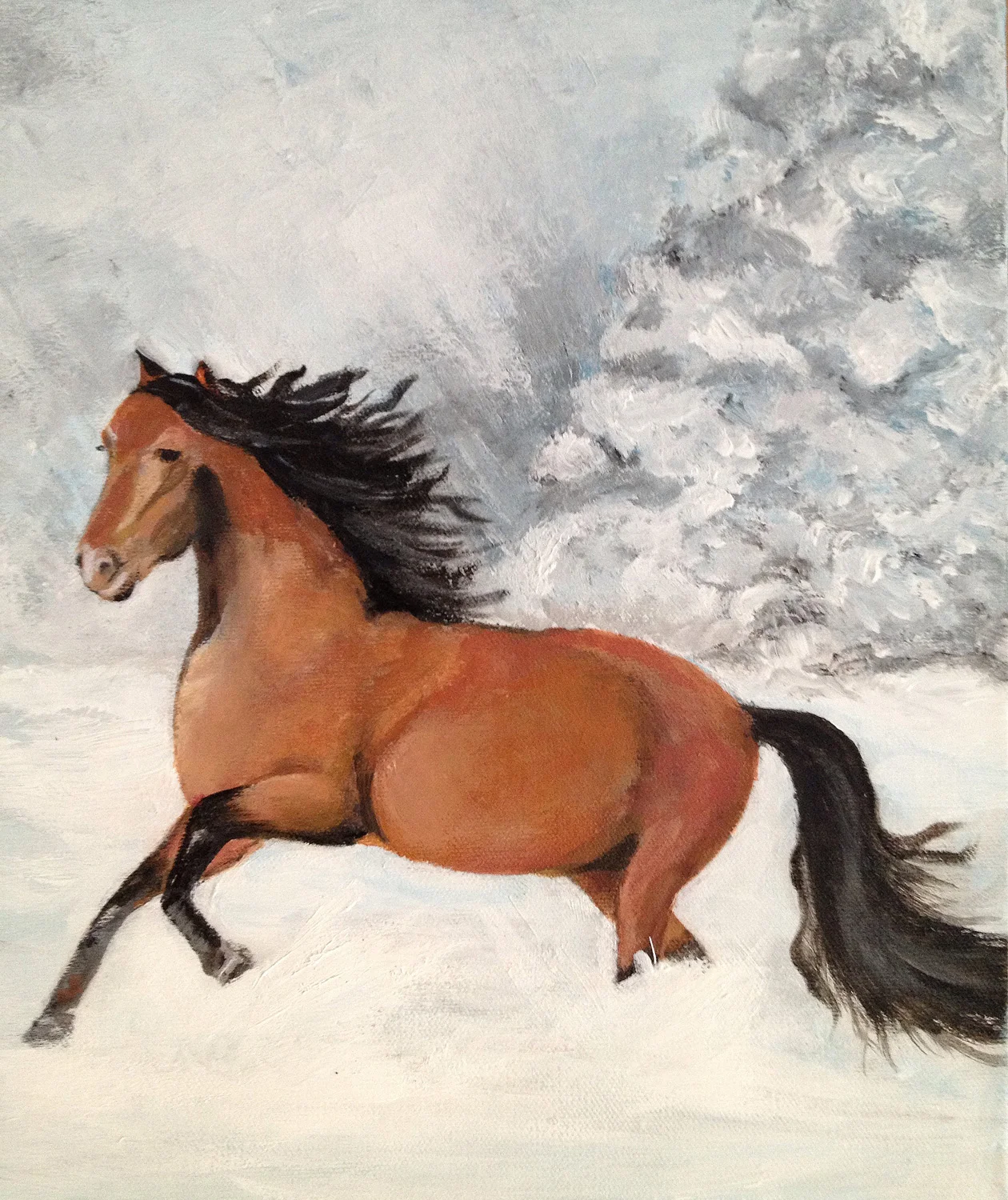 Horse | 18" x 18" | Acrylic on canvas