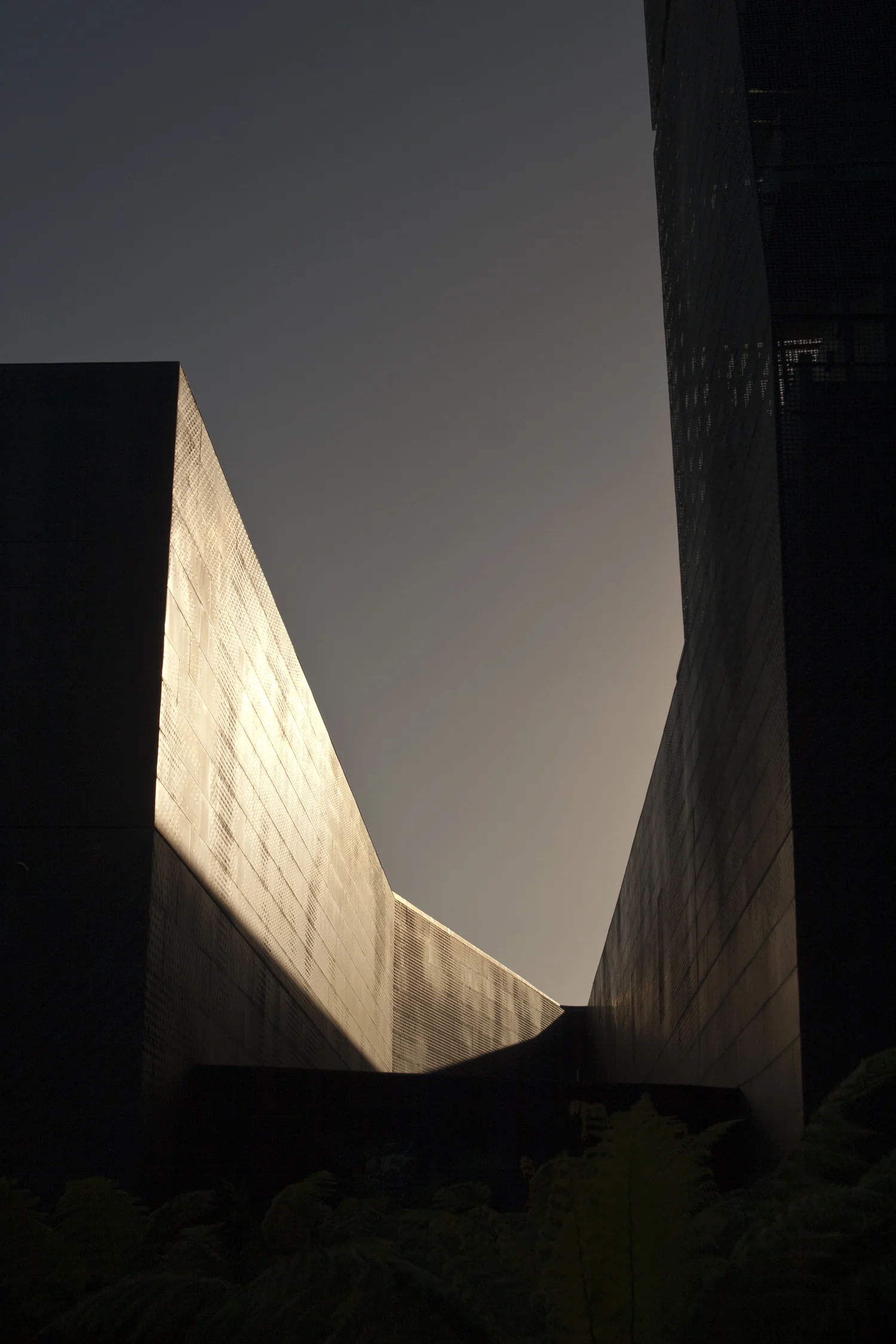 CRW_7120.jpg