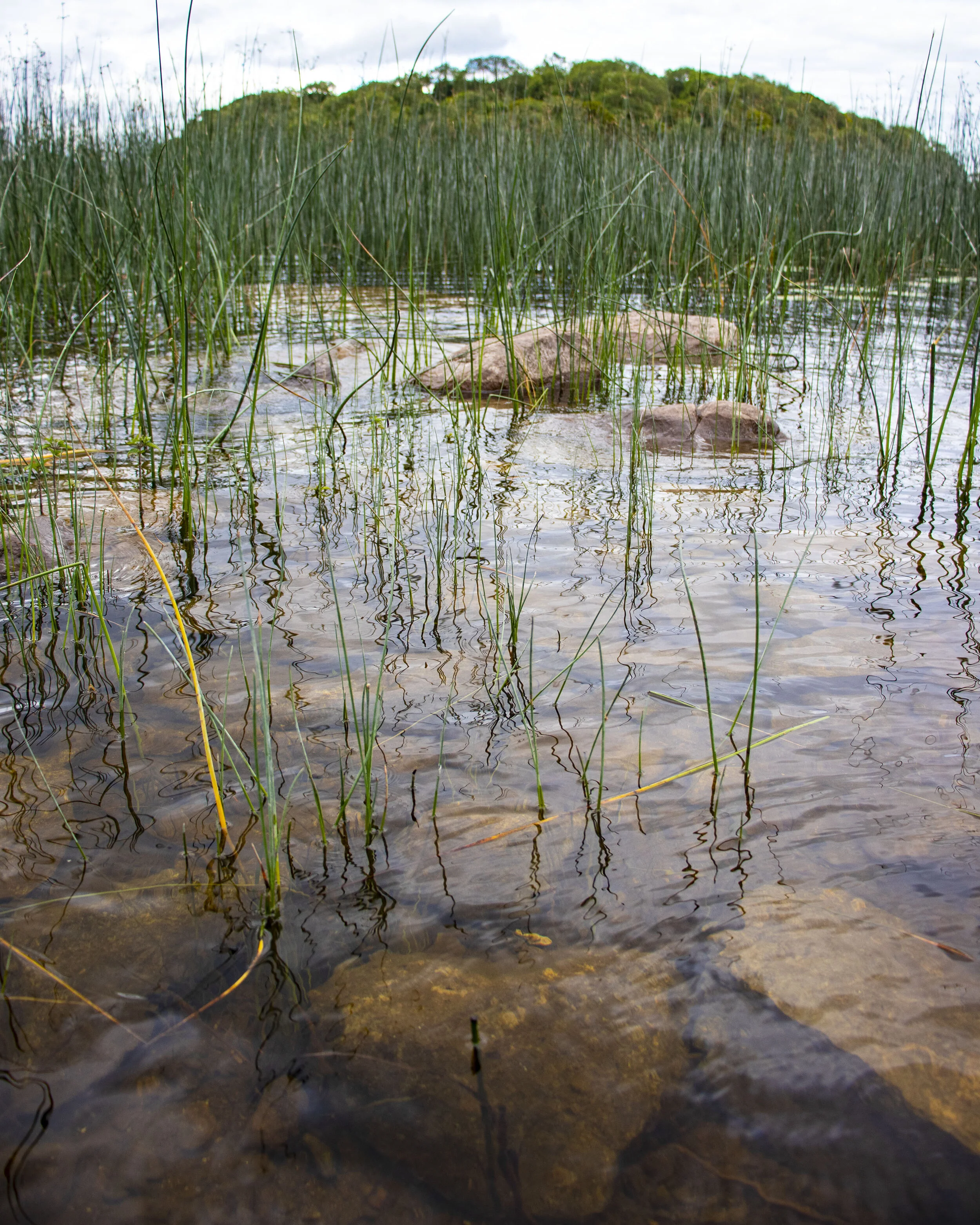 Rocks in the Water 8x10.jpg