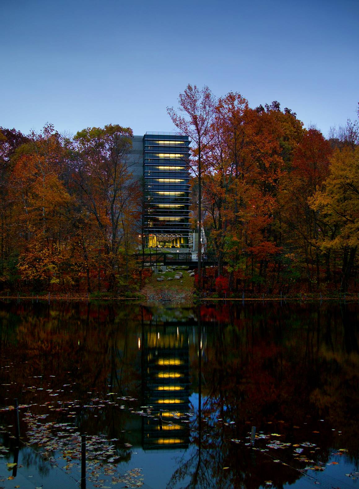 Ramapo8 Night on the Lake.jpg