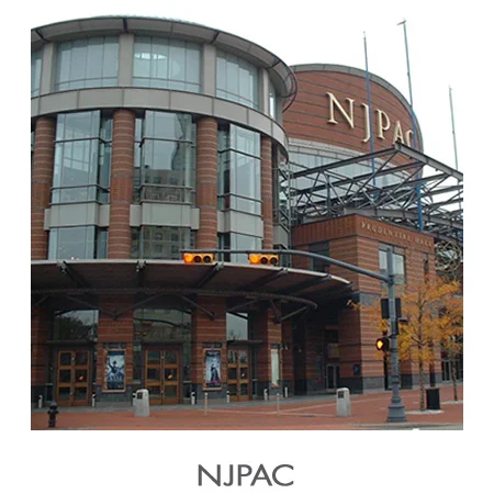 NJPAC_EnvRemed.jpg