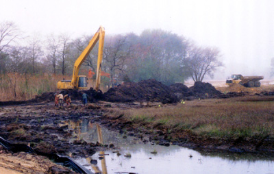 Digger&Dumptruck.jpg