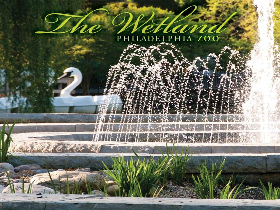 wet zoo.jpg