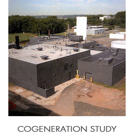 Cogeneration_Study.jpg