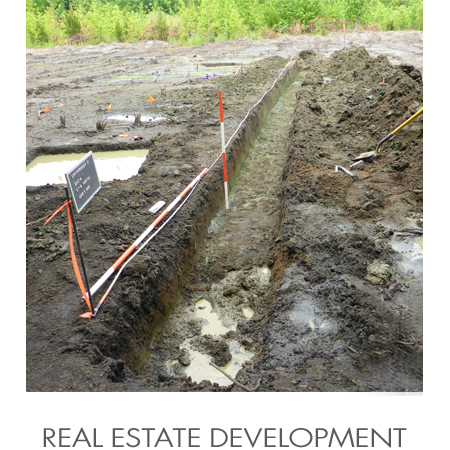 Real_Estate_Development.jpg