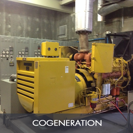 COGEN.png