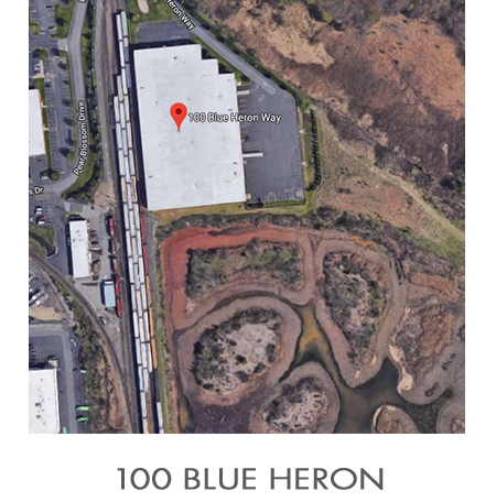 100 Blue Heron.jpg