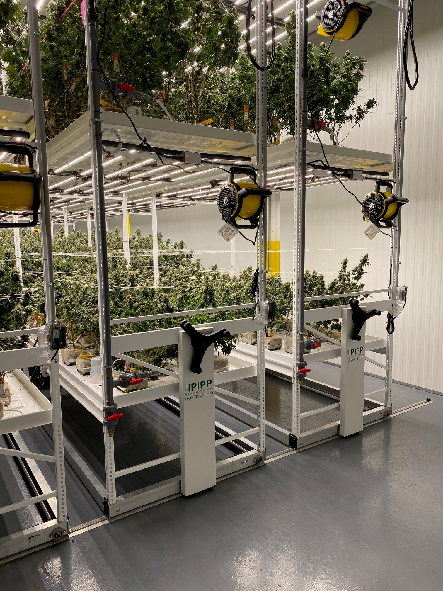 CANNABIS GROWTH FACILITY