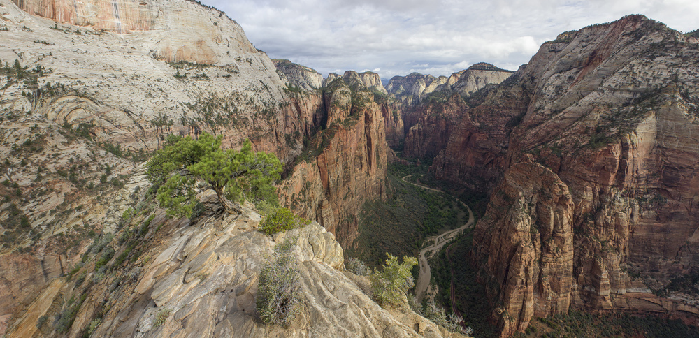 Zion national park